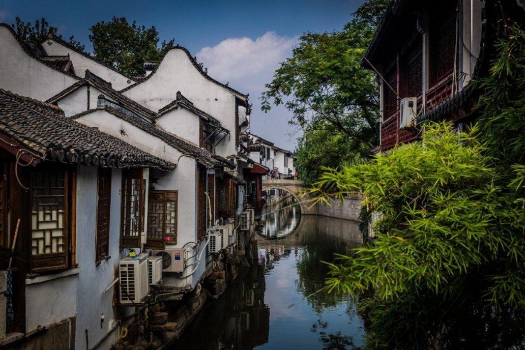 逃离大犀牛出没地